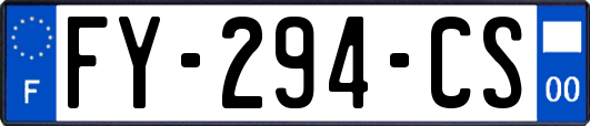 FY-294-CS