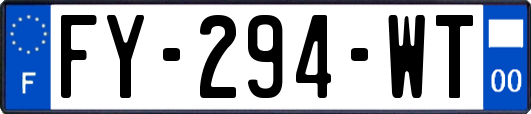 FY-294-WT