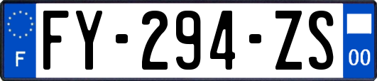 FY-294-ZS