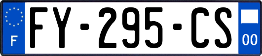 FY-295-CS