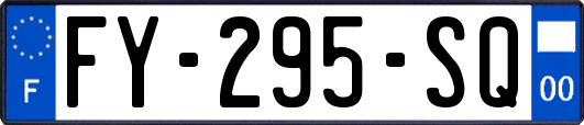 FY-295-SQ