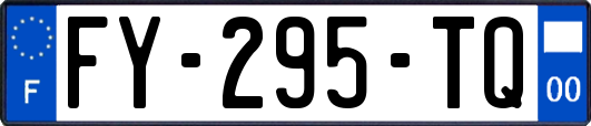 FY-295-TQ