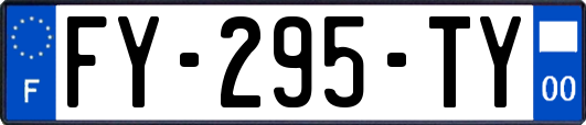 FY-295-TY