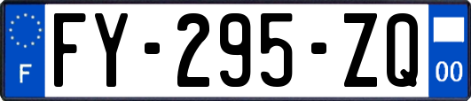 FY-295-ZQ