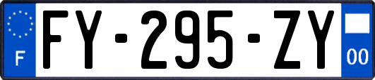 FY-295-ZY