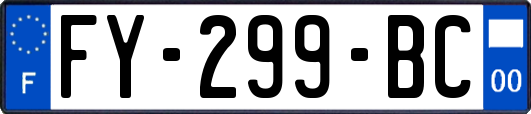 FY-299-BC