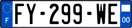 FY-299-WE