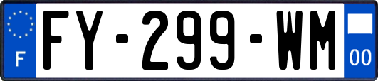FY-299-WM