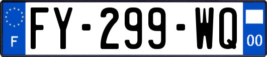 FY-299-WQ