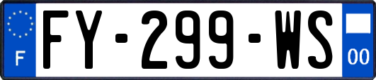 FY-299-WS