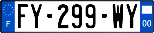 FY-299-WY