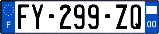 FY-299-ZQ