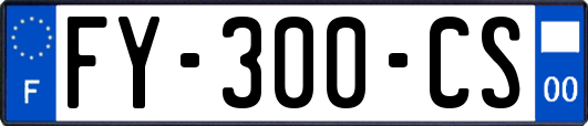 FY-300-CS