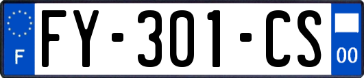 FY-301-CS
