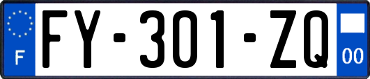 FY-301-ZQ