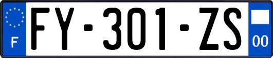 FY-301-ZS