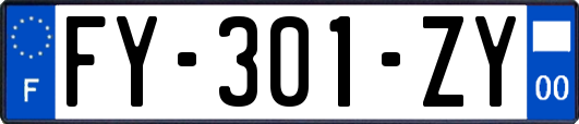 FY-301-ZY