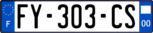 FY-303-CS