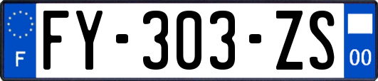 FY-303-ZS