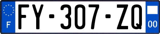 FY-307-ZQ