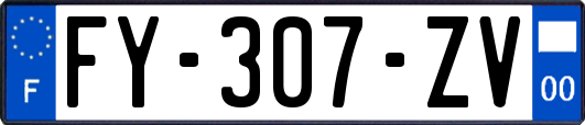 FY-307-ZV