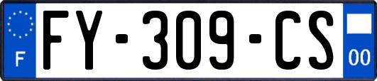 FY-309-CS