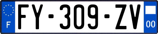 FY-309-ZV