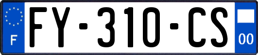 FY-310-CS