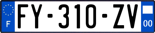 FY-310-ZV