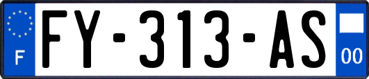 FY-313-AS