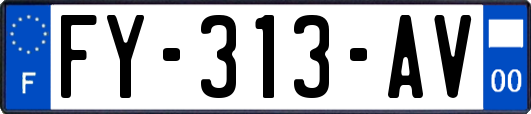 FY-313-AV