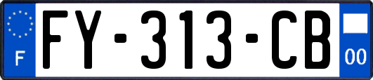 FY-313-CB