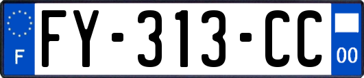 FY-313-CC