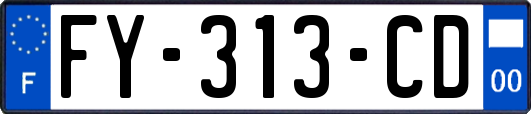 FY-313-CD