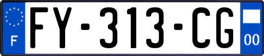 FY-313-CG