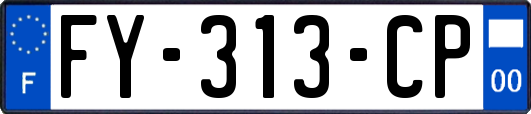 FY-313-CP