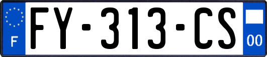 FY-313-CS