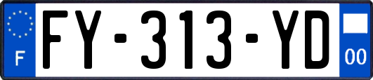 FY-313-YD