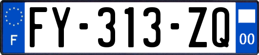 FY-313-ZQ
