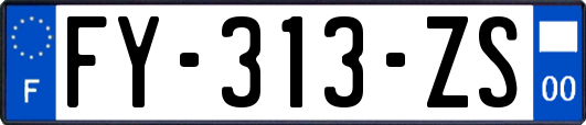 FY-313-ZS
