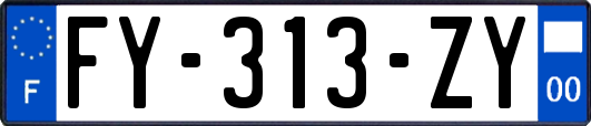 FY-313-ZY