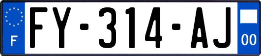 FY-314-AJ
