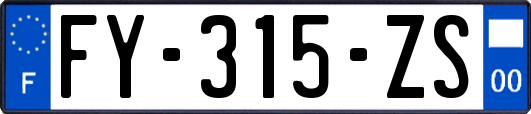FY-315-ZS