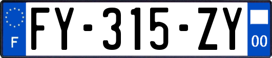 FY-315-ZY