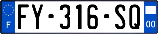 FY-316-SQ