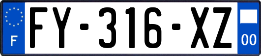 FY-316-XZ