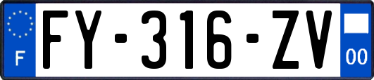 FY-316-ZV