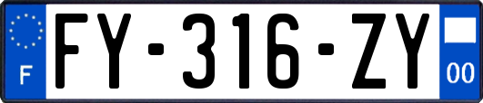 FY-316-ZY