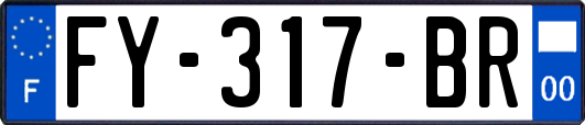 FY-317-BR