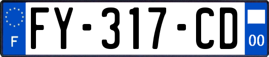 FY-317-CD